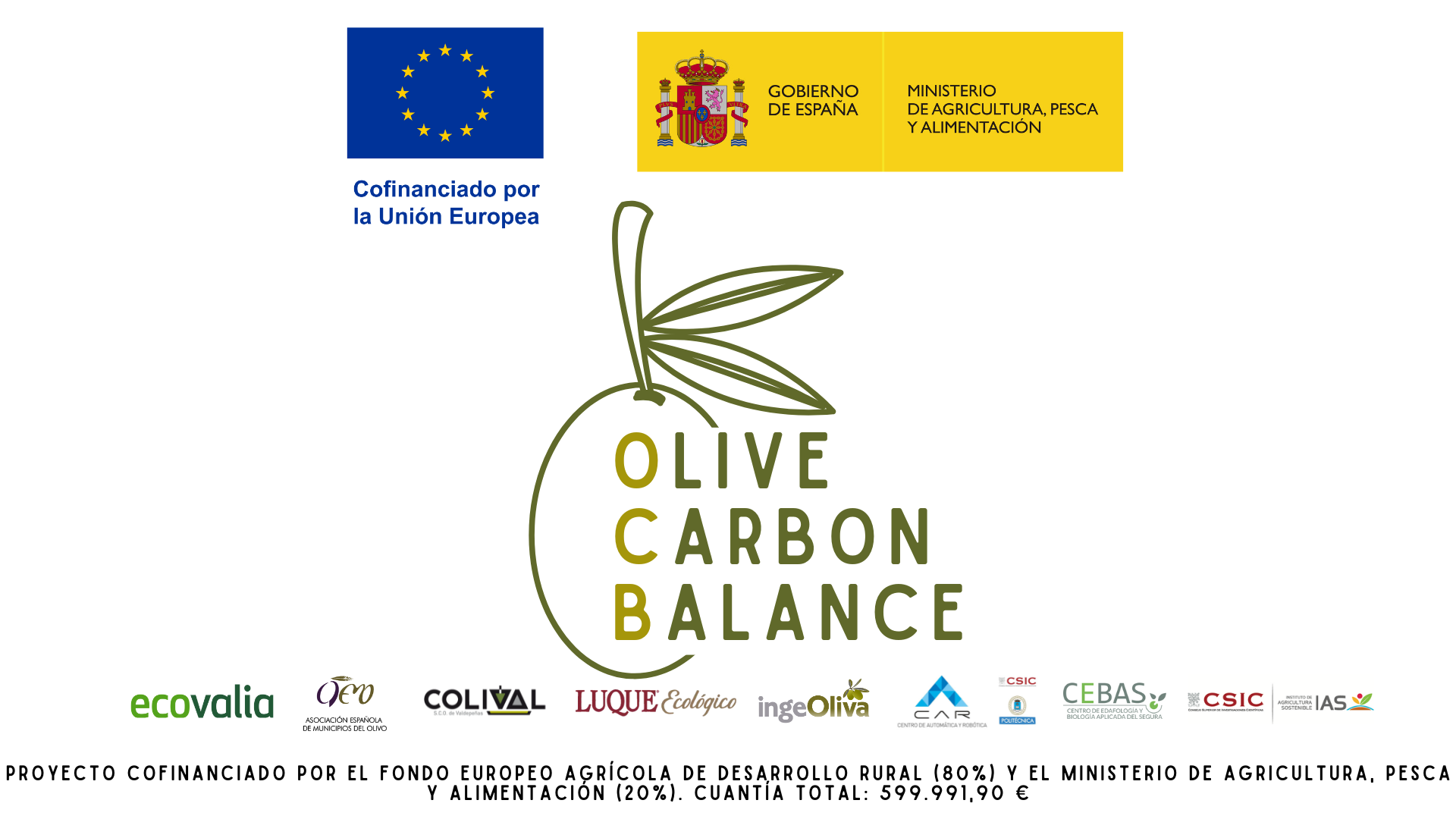 Portada del folleto Olive Carbon Balance