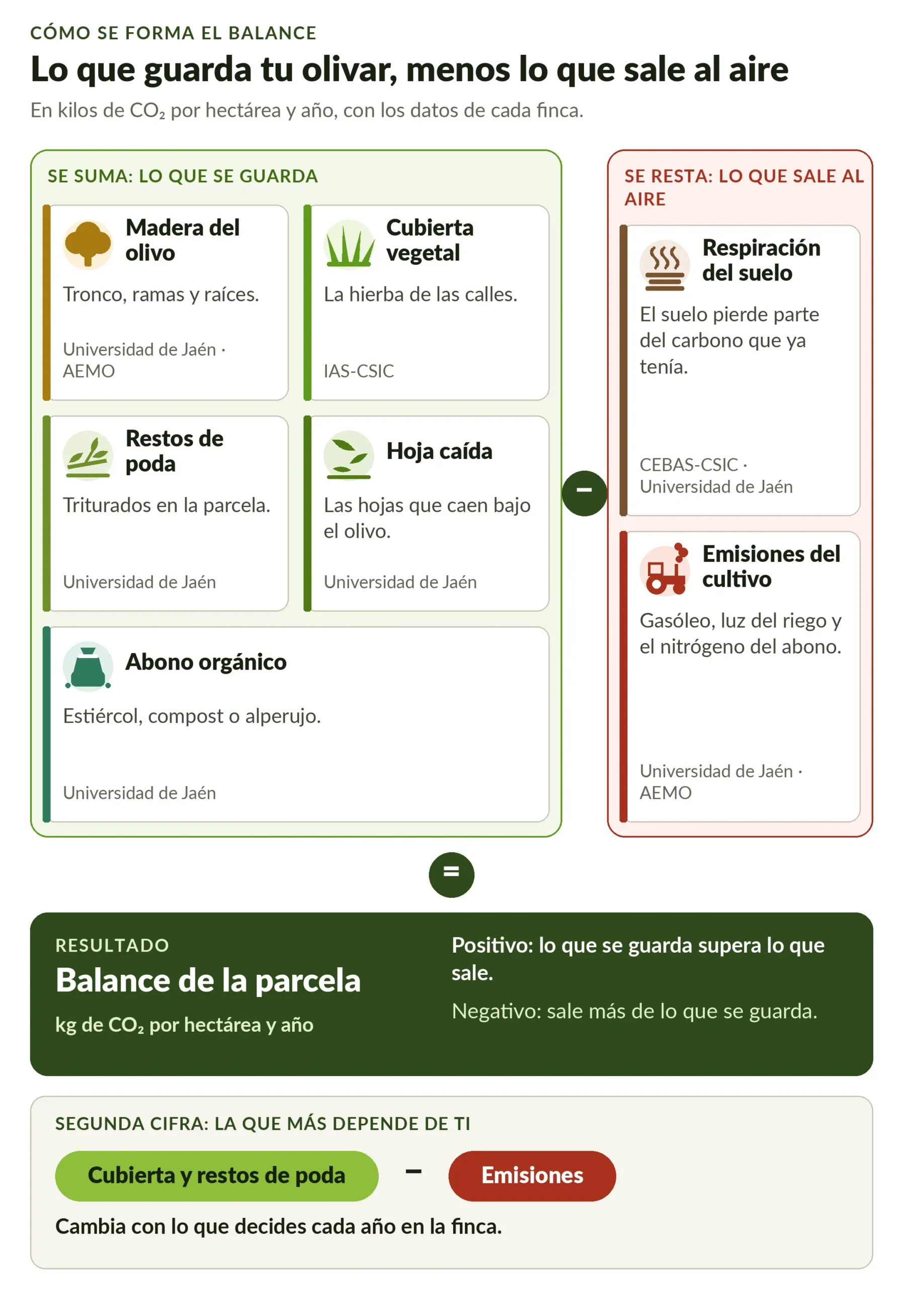 Esquema de cómo se forma el balance de carbono de una parcela