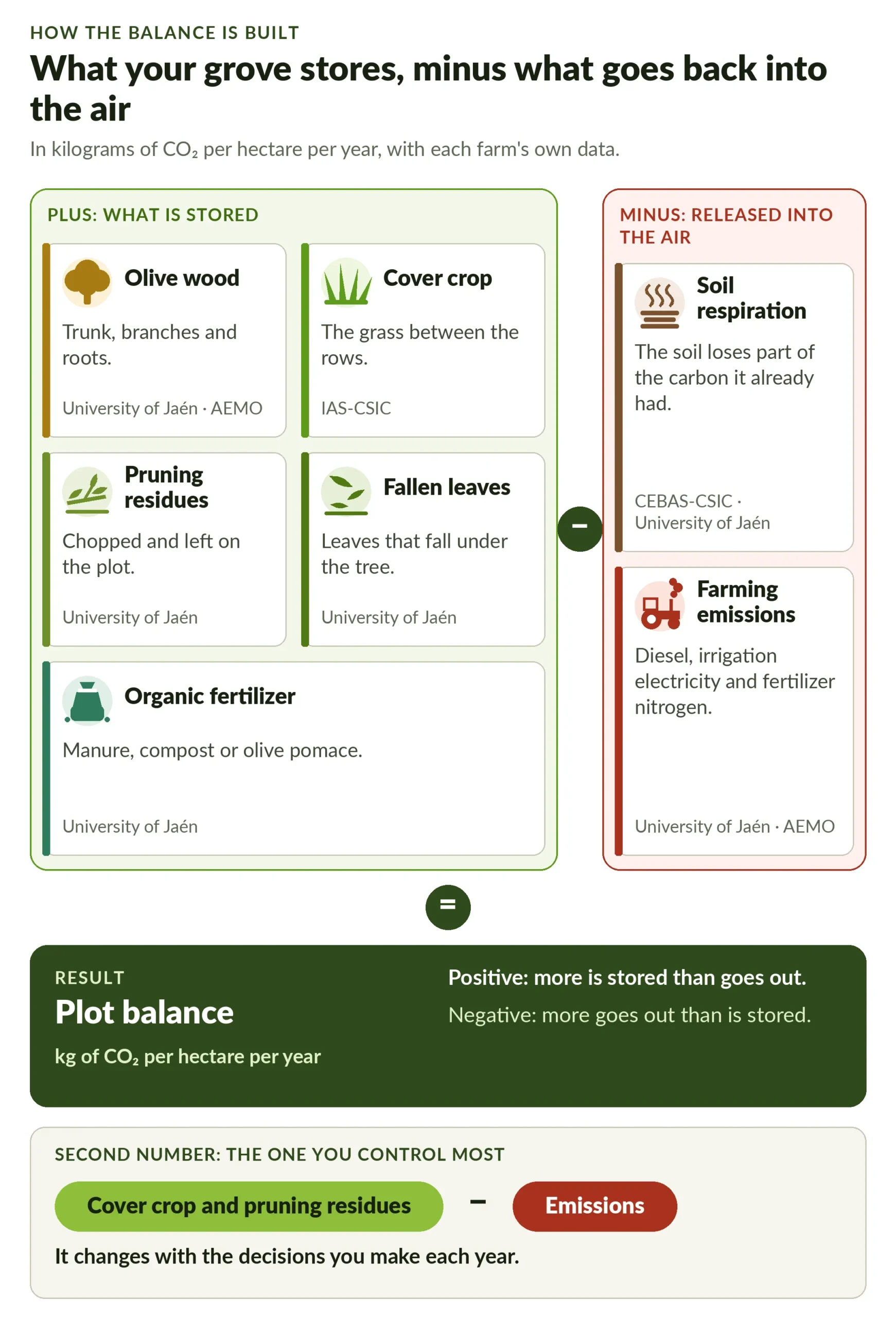 Diagram showing how the carbon balance of a plot is built