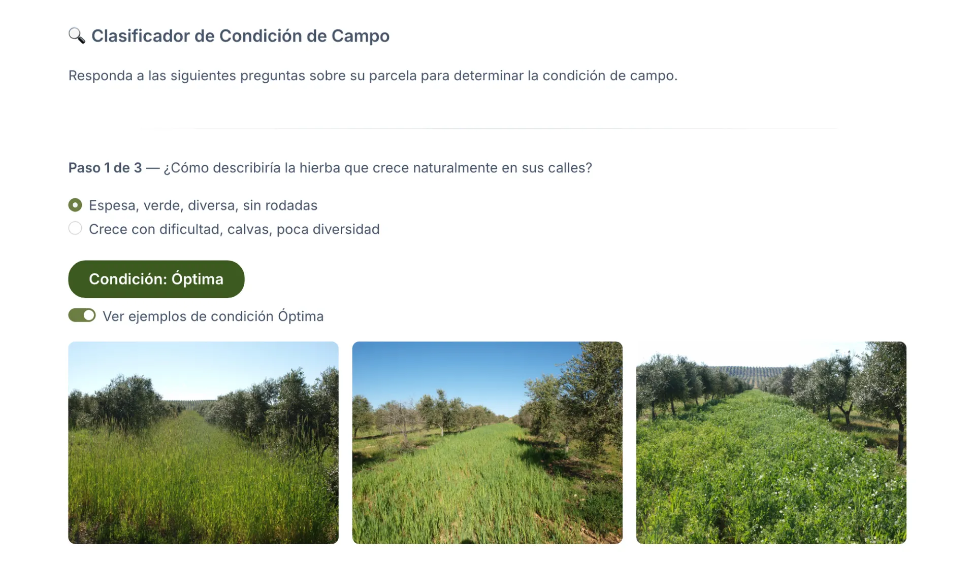Primera pregunta de la herramienta sobre el estado de la cubierta vegetal
