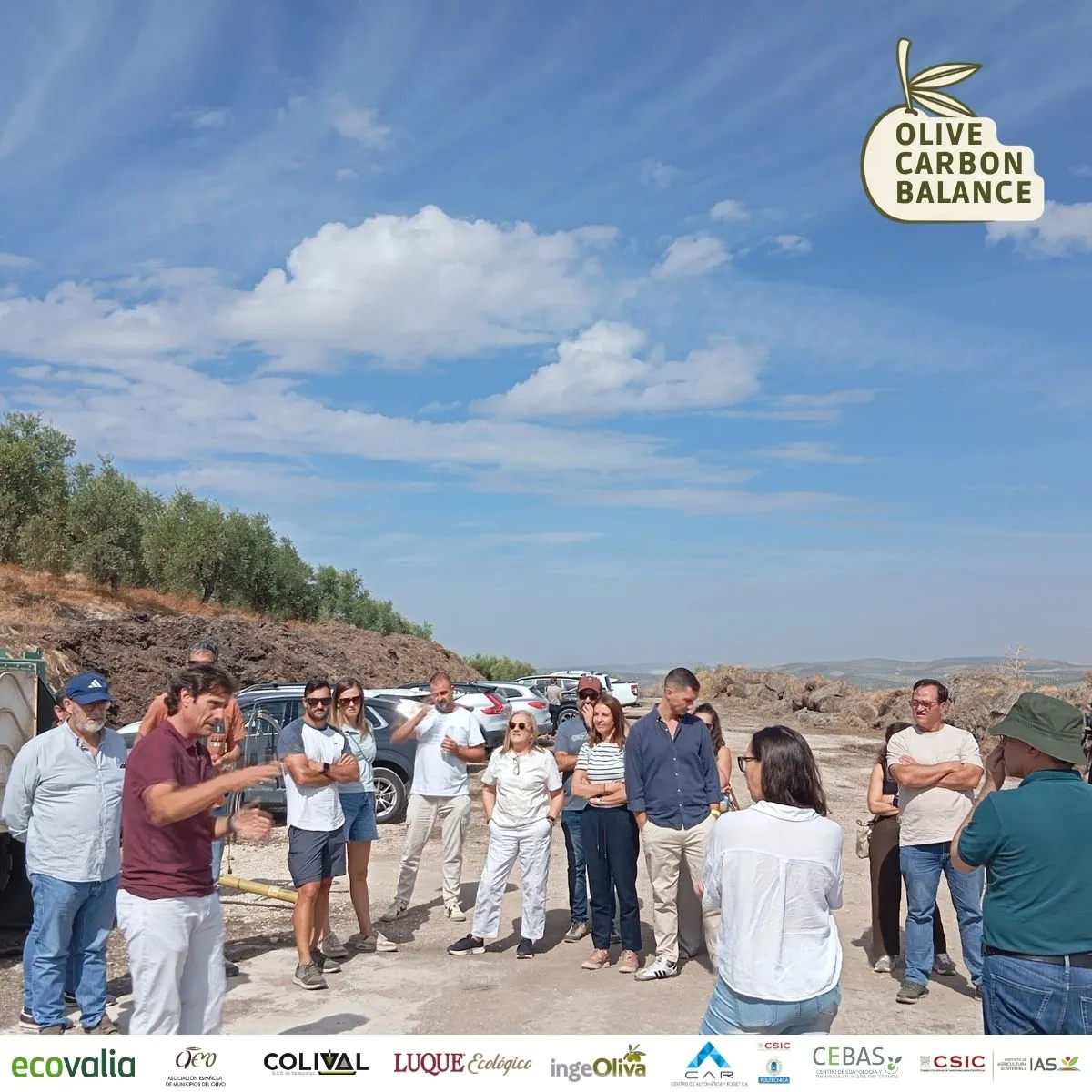 Actividad de campo del proyecto Olive Carbon Balance